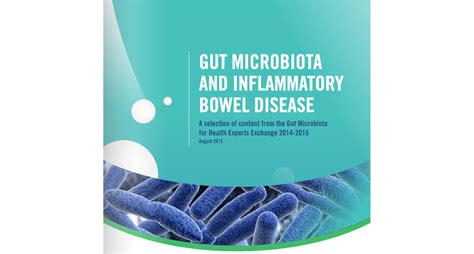 Gut Microbiota And Inflammatory Bowel Disease