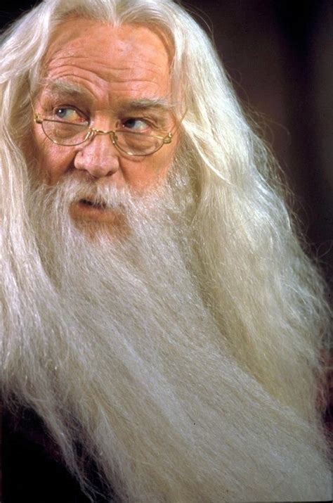 Albus Dumbledore Harry Potter Sinema Çizim