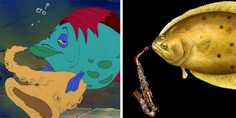 Real Fish Versus Little Mermaid Fish Oh My Disney The Little