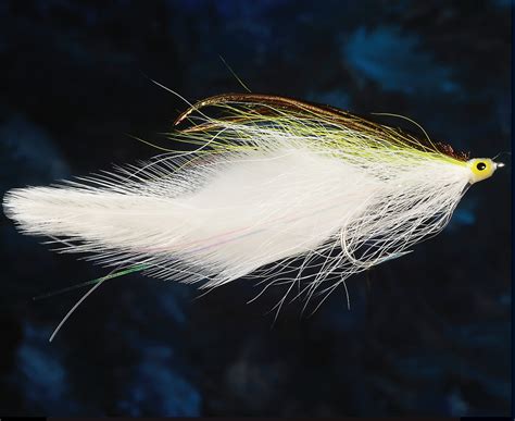 The Complete Guide To Freshwater Striped Bass Page 3 Of 3 Fly