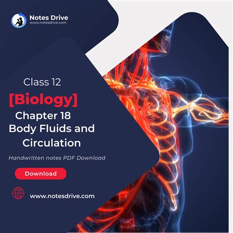 Class 11 Biology Chapter 18 Body Fluids And Circulation Handwritten