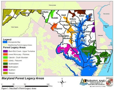 Forest Legacy Forest Service Maryland Department Of Natural Resources