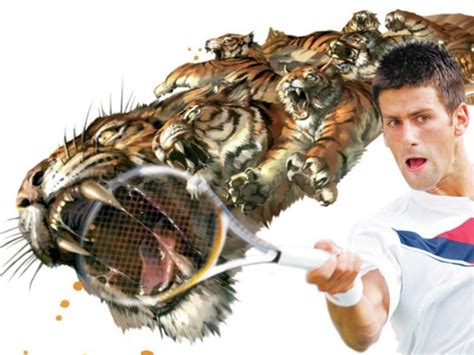 Young Sports Stars Novak Djokovic Hd Wallpapers 2012