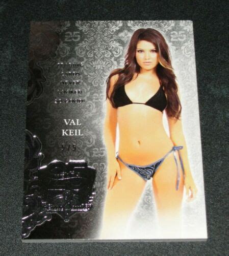 Benchwarmer Val Keil Th Anniversary Silver Foil Playboy Playmate Ebay