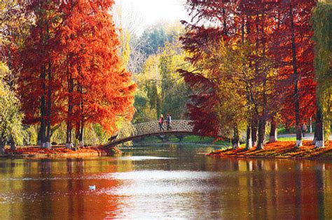 30 Picturesque And Colorful Autumn Photos Naldz Graphics