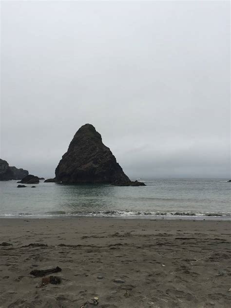 Whaleshead Beach 2024 Guide With Photos Best Beaches To Visit In Brookings
