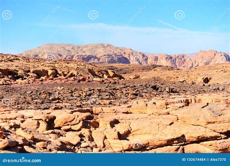 View Of Sinai Desert In Egypt Stock Photo Image Of Backgrounds