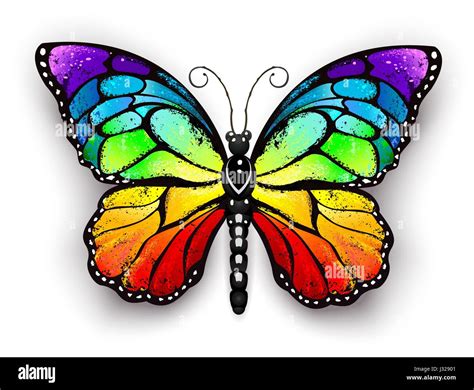 Factibilidad Ligeramente Fama Dibujos De Mariposas A Color Profesor Paso Colateral