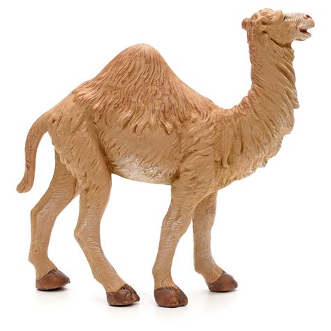 Das dromedar (camelus dromedarius), auch als einhöckriges oder arabisches kamel bezeichnet, ist eine säugetierart aus der gattung der altweltkamele innerhalb der familie der kamele (camelidae). Dromedar 19 cm Fontanini | Online Verfauf auf HOLYART