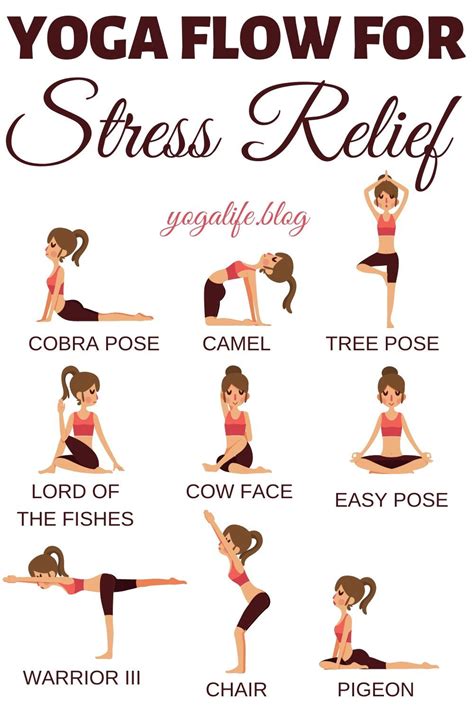 To find your perfect practice, choose your yogi level. 10 Easy Yoga Poses For Stress Relief in 2020 | Yoga ...