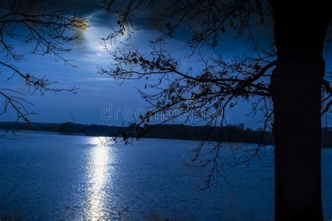 Shine Moons Over The Lake S Surface At Night A Dark Tree Stock Photo