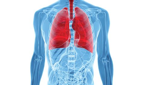 My dad (68)has just found out he has terminal stage 4 lung cancer as well. Noninvasive lung cancer testing on the horizon | NIH ...