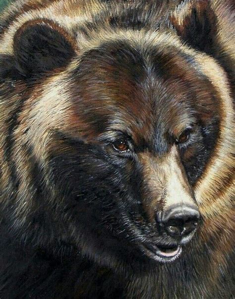 Grizzly Bear Portrait Bear Paintings Wildlife Art Wildlife Art