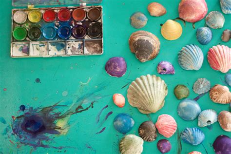 9 Seashell Crafts For Kids
