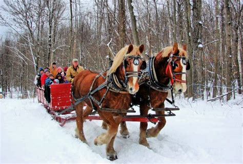 25 Must Do Christmas Events And Activities In New England With Kids