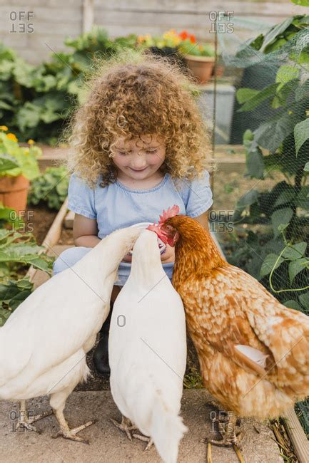 Little Girl Feeding Chickens In Allotment Stock Photo Offset