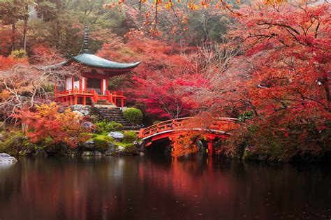 Pictures Kyoto Japan Autumn Nature Bridges Park Pond Pagodas Trees
