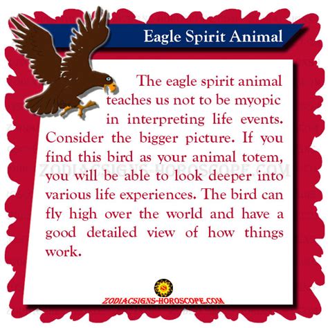 Eagle Spirit Animal Meaning Symbolism Dream Of The Eagle Totem