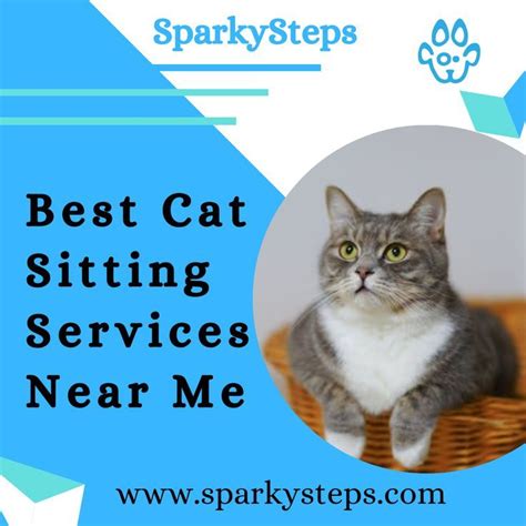 Best Cat Sitting Services Near Me Sparkysteps In 2021