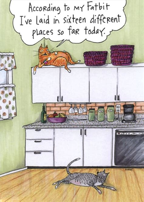 Oatmeal Studios Two Cats In Kitchen Funny Humorous Birthday Card