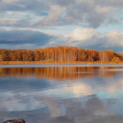 Download Wallpaper 2780x2780 Lake Shore Autumn Water Reflection