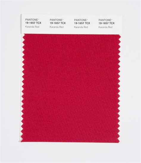 Pantone Smart Color Swatch Card 19 1657 Tcx Karanda Red Columbia Omni