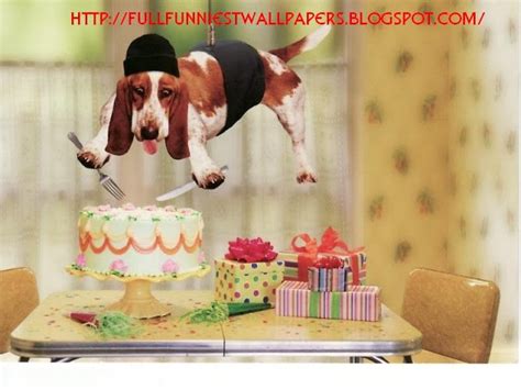 Free Download Happy Birthday Funny Boy Hd Wallpaper Only Hd Wallpapers