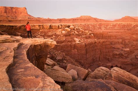 canyonlands national park photos by ron niebrugge