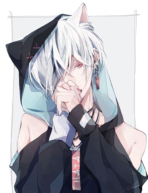 Anime Boy With White Hair And Cat Ears Info Anime