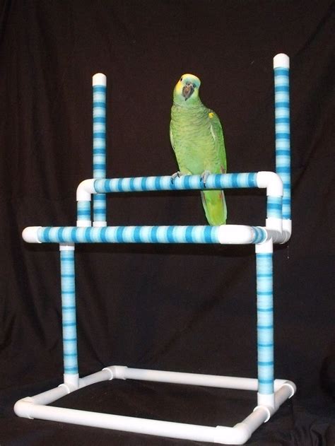 We did not find results for: Home - PARROT TREASURES #pvc #parrot #perch #play #stands | Parrot pet, Parrot play stand ...