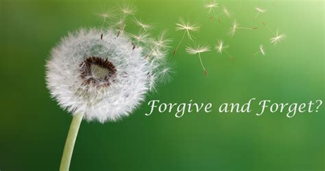 Is It Biblical To Forgive And Forget Red Letter Christians