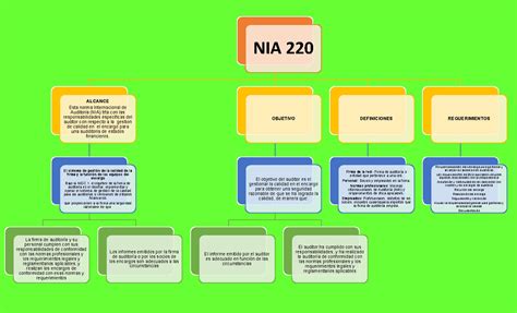 Mapa Conceptual De La Nia 220 Nias Facultad Nia 220 Alcance Esta