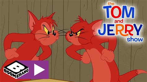 The Tom And Jerry Show Tough Cat Contest Boomerang Uk 🇬🇧 Youtube