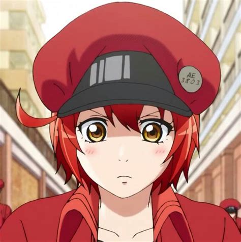 Cells At Work Red Blood Cell Otaku Anime Anime Manga Anime Films Anime Characters Work