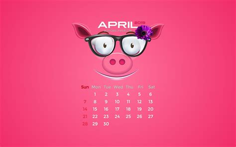 Скачать обои April 2019 Calendar 4k Spring Pink Piggy 2019 Calendar