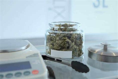 The Innovative Tech Helping Cannabis Producers Stay Compliant With