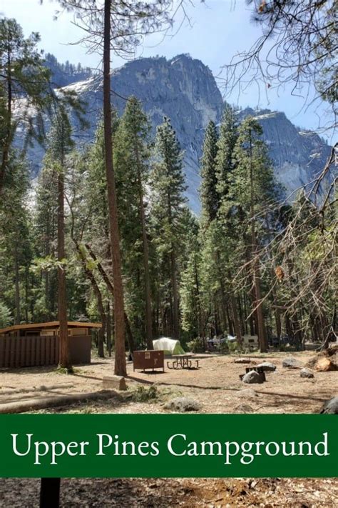 What To Expect When Camping In Upper Pines Campground In Yosemite