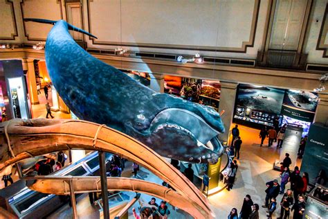 Photo Of The Smithsonian National Museum Of Natural History In