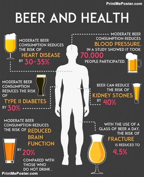 Drinking Alcohol Beer Influence Your Body And Health Infographics