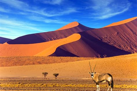 ¿es Seguro Viajar A Namibia 2024 Iati Seguros