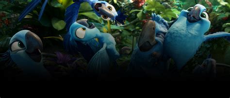 Watch Rio 2 Full Movie Online Free In English Lopteessentials