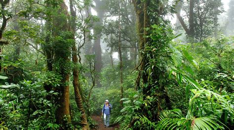 the secret of costa rica s hidden cloud forests