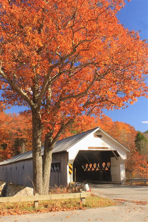 West River Covered Bridge Vermont Fall Foliage Photograph