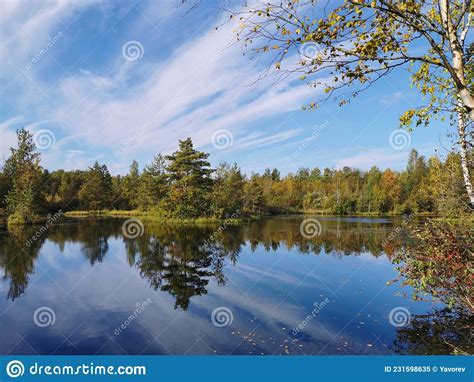 The Mirror Surface Of A Forest Lake In Which Trees With Yellowing