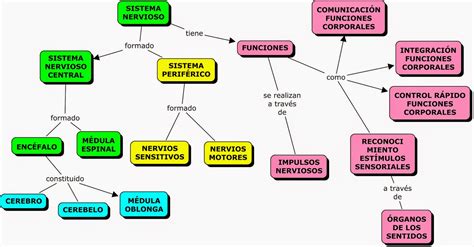 Mapa Conceptual Sobre Aparatos Y Sistemas Corporales Mapas Conceptuales Mind Maps Y Science