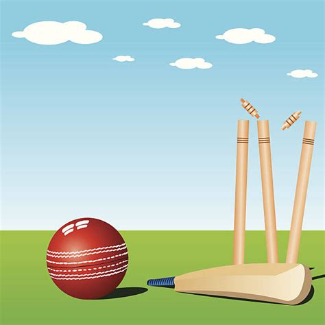 930 Cricket Pitch Stock Illustrations Royalty Free Vector Graphics