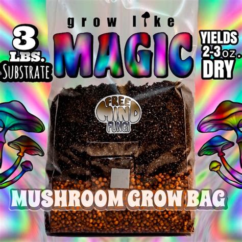 Magic Mushroom Grow Kit Etsy
