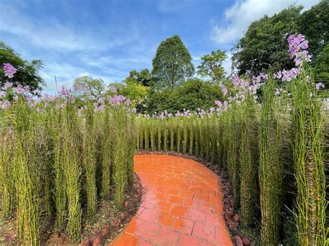 Singapore Botanic Gardens 4 Living Nomads Travel Tips Guides News And Information