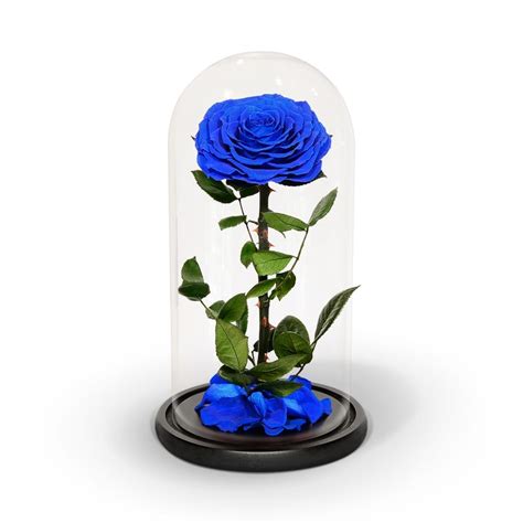 Royal Blue Preserved Rose In Glass Dome Infinity Rose