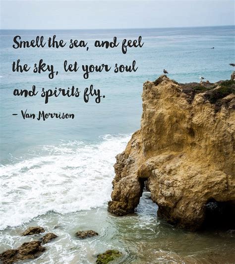 117 Remarkable Beach Quotes That Instantly Inspire You Bayart